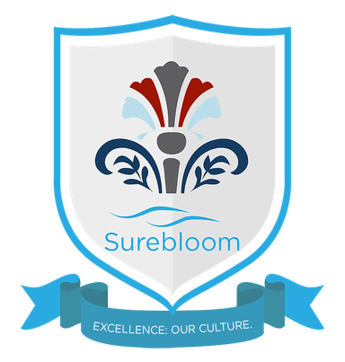 Surebloom International School