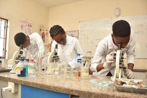 Students working in the science laboratory